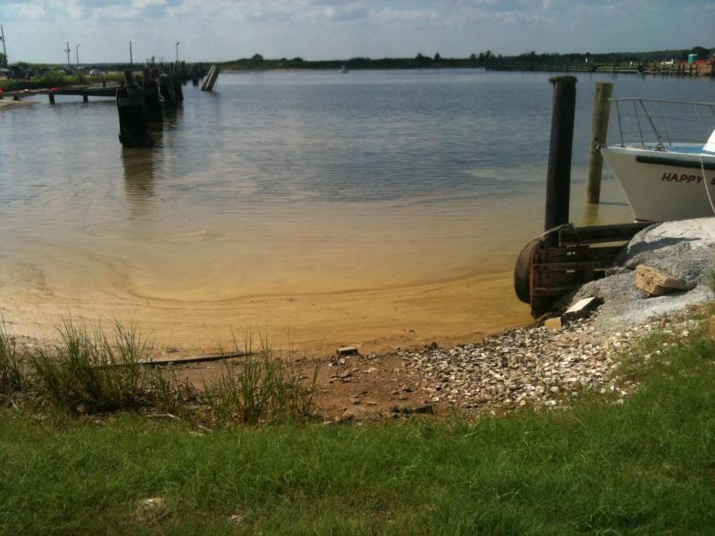 Bayou La Batre 9/12/10