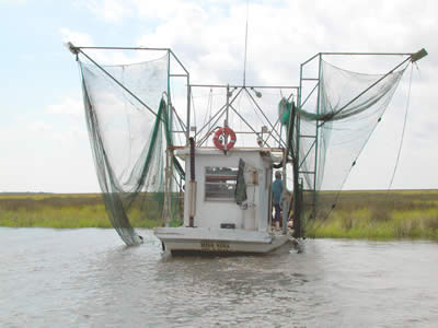 shrimp   boat